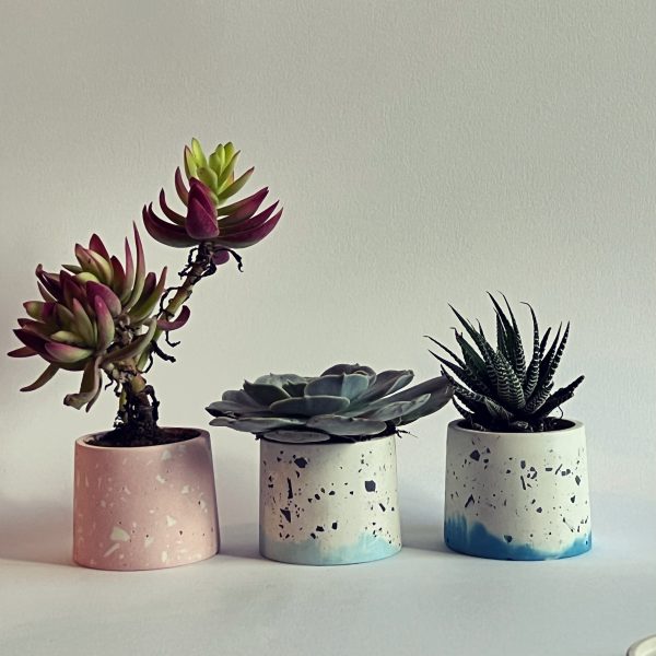Cobalt Blue Pot