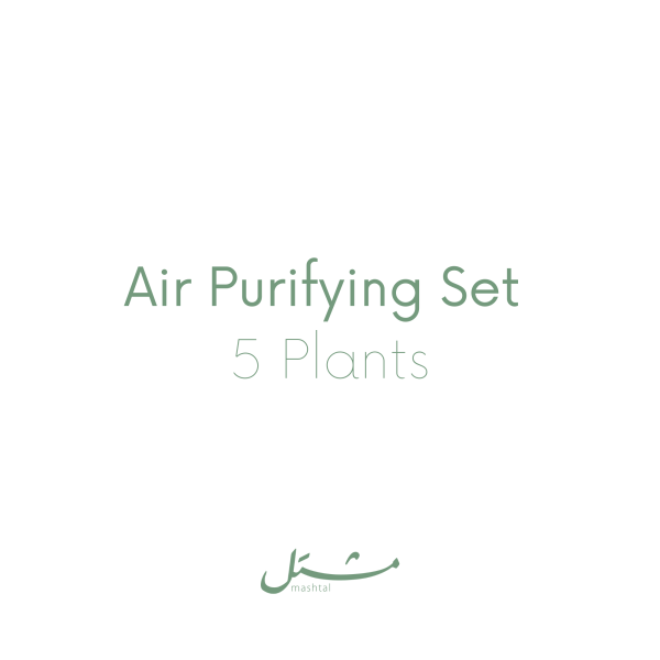 Air Purifying Set (5 Plants)