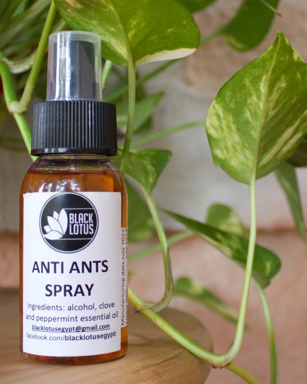 Anti-Ants Spray