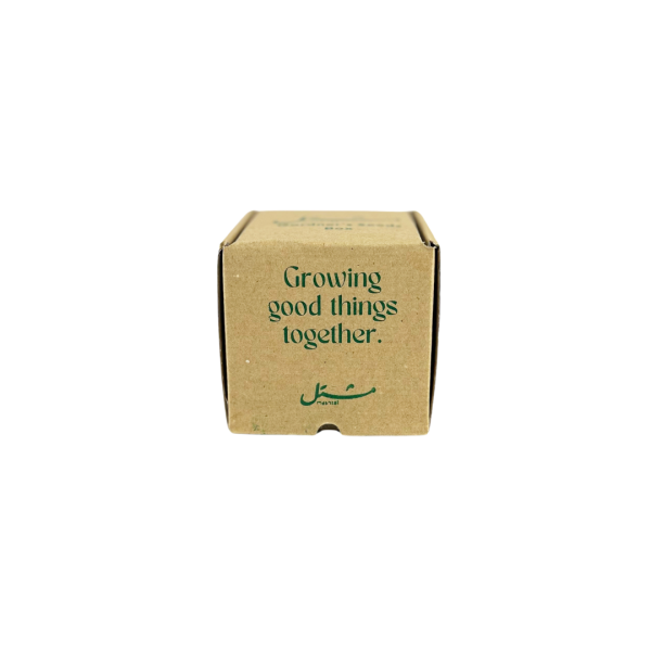 Gardener's Seeds Box