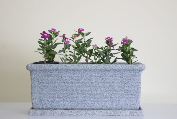 Roman Classic Trough
