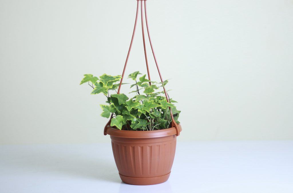 aalto planter Artek Aalto Planter Shape A  SORT