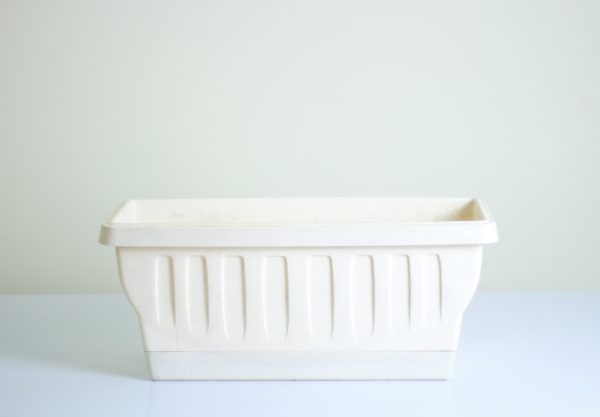 Mexican Trough `Khorshed`