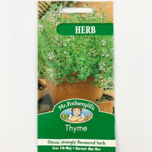 Thyme Mr FG