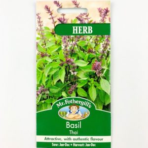 Thai basil Mr FG