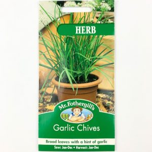 Garlic chives Mr FG