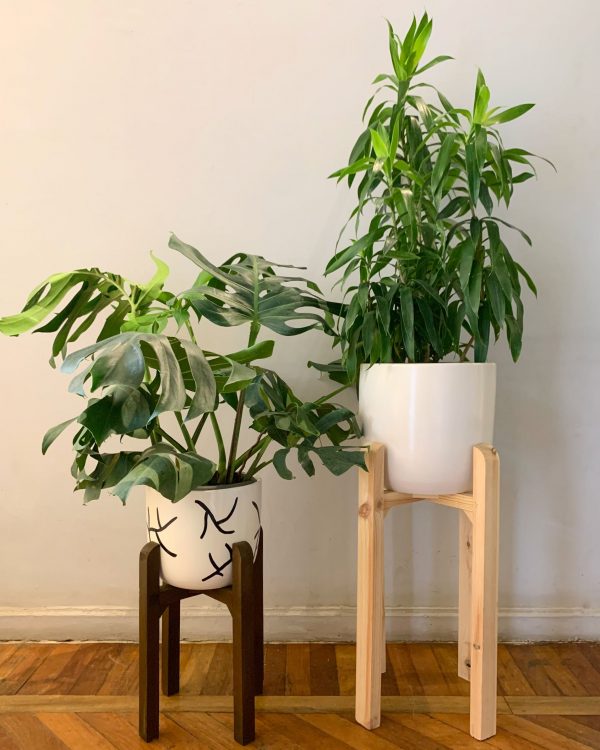 Two stands with plants