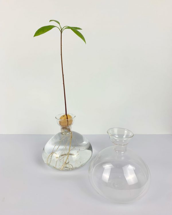 Avo vase 2