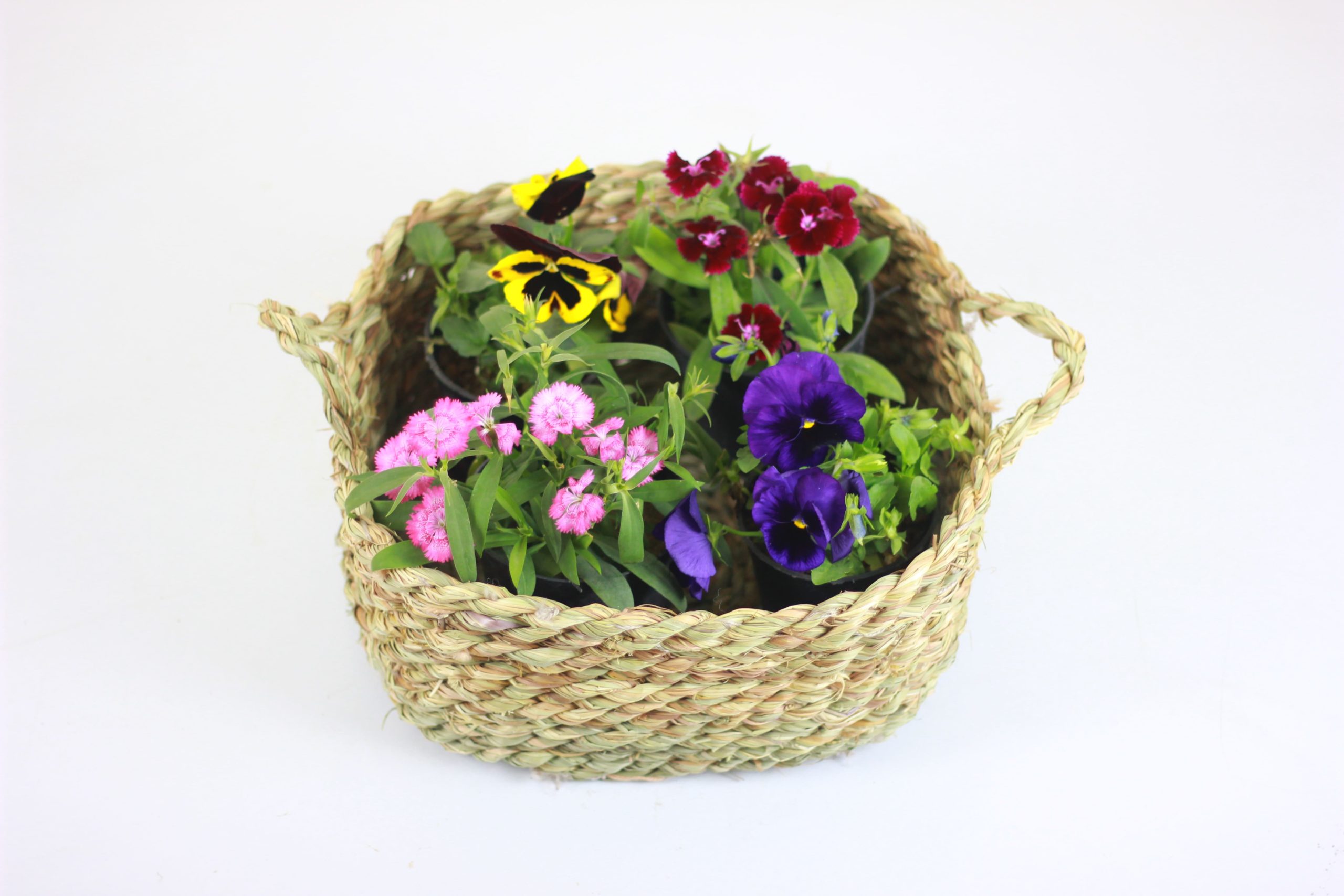 Garden Pot