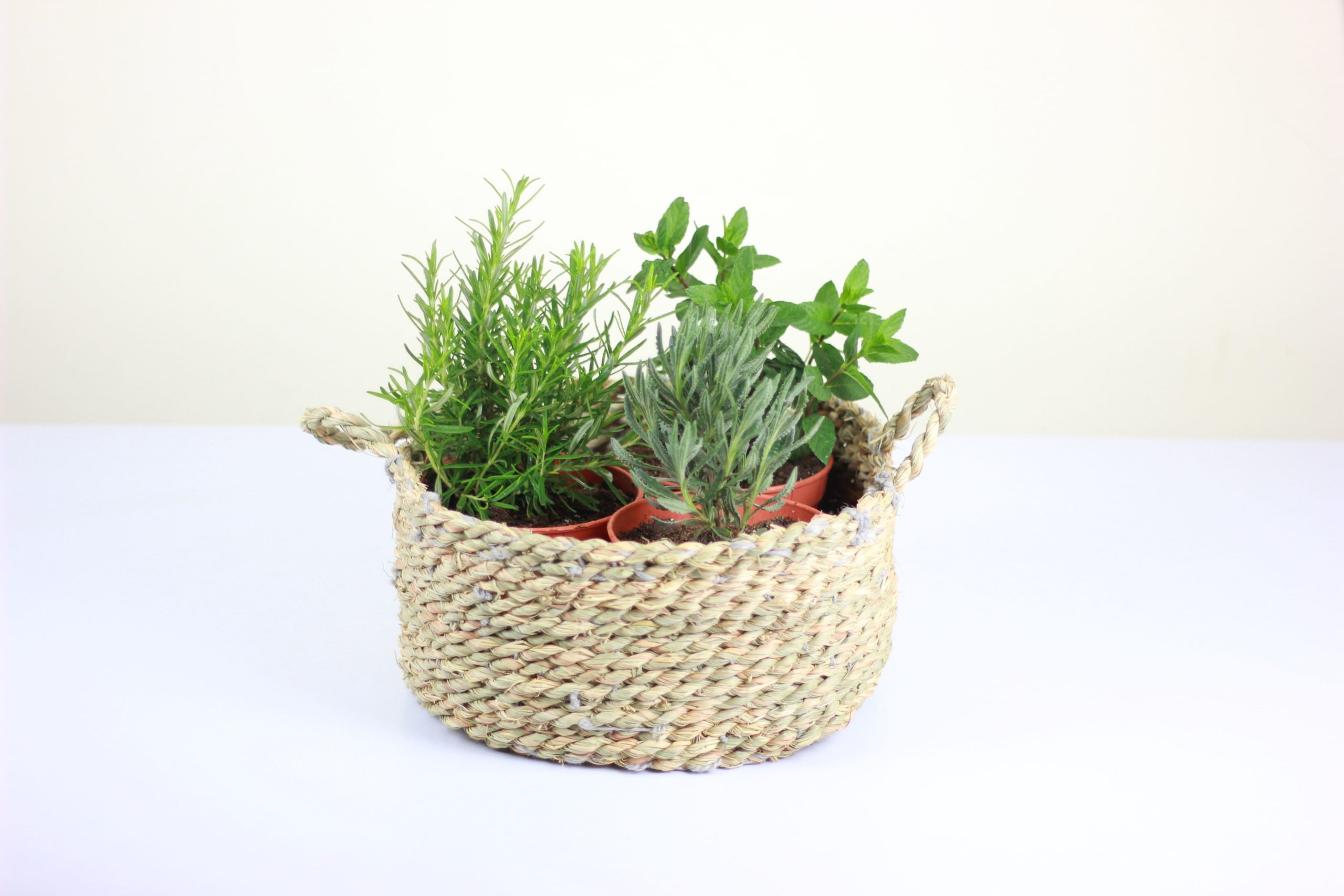Garden Pot
