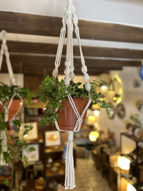 Macramé Plant Hanger