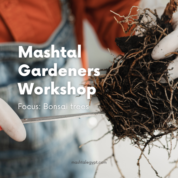 Mashtal Gardeners' Workshop