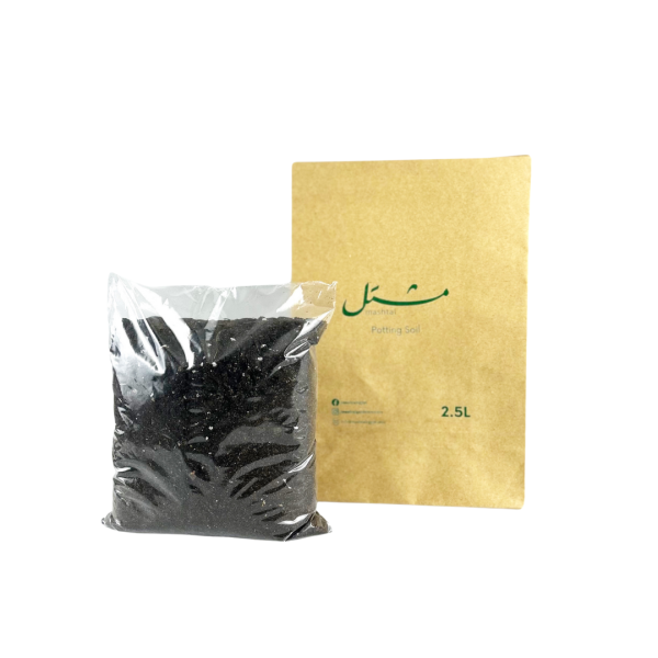 Mashtal Potting Soil