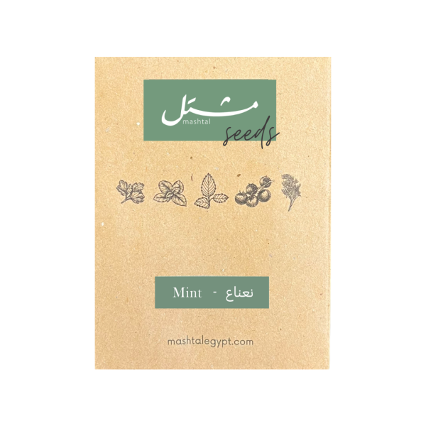 Mint Seeds