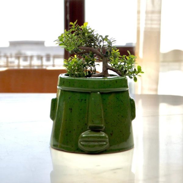 Mo Pot