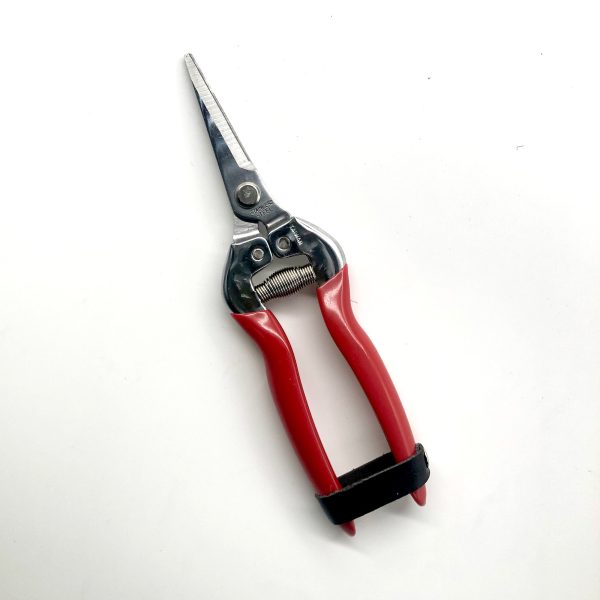 Needle Nose Pruning Shears