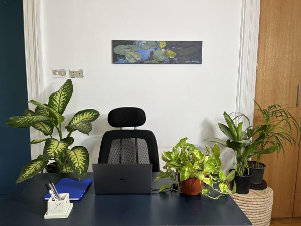Office Plants Set (4 Plants)
