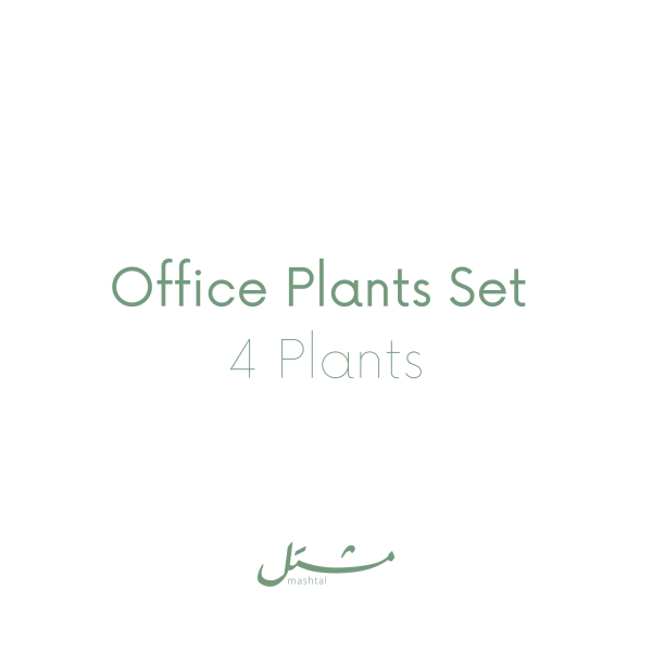 Office Plants Set (4 Plants)