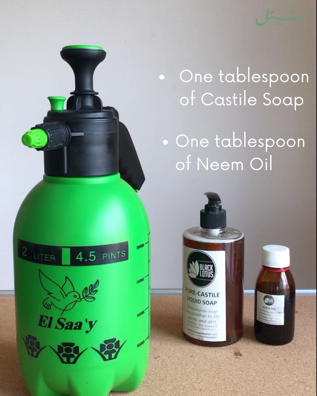 Castile Soap and Neem Oil for Your Plants Mashtal Garden Centers