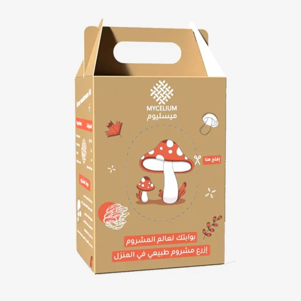 Oyster Mushroom Kit