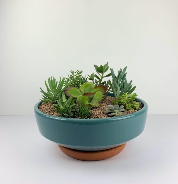 Teal planter