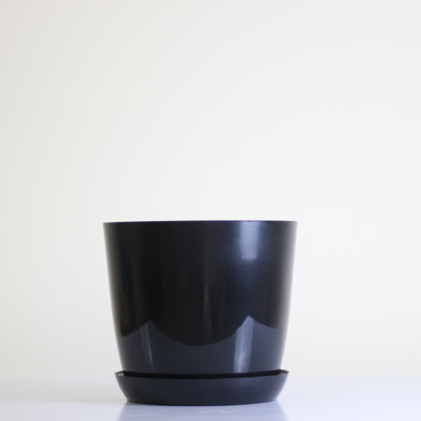 Poly Pot