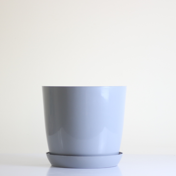 Poly Pot