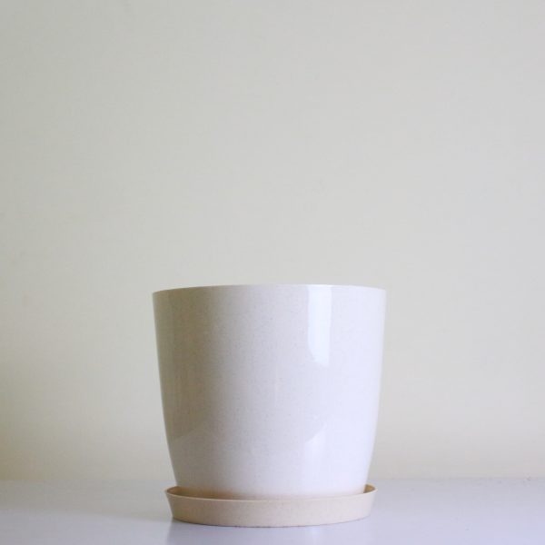 Poly Pot