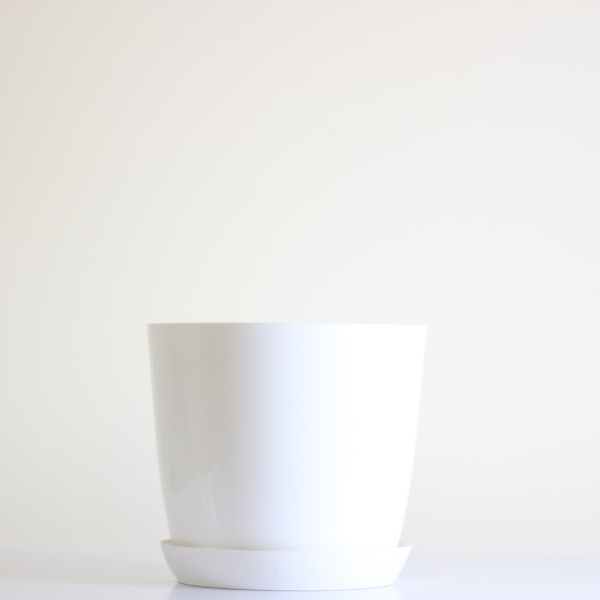 Poly Pot