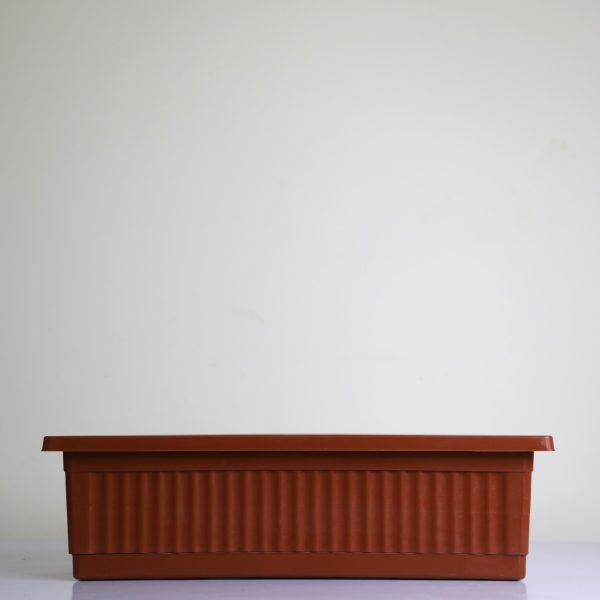 Ribbed Trough `Khorshed`