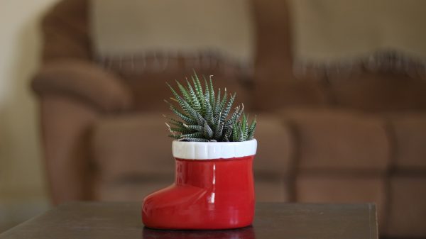 Santa Boot