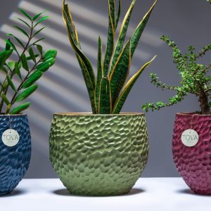 hammered with plants