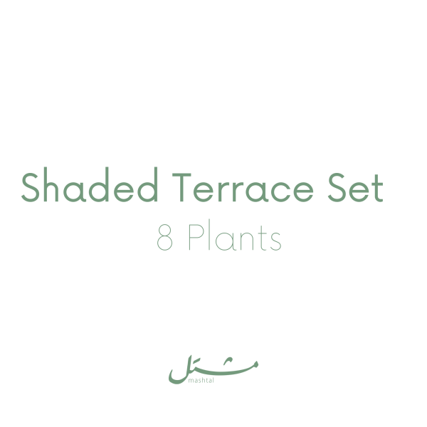 Shaded Terrace Set (8 Plants)