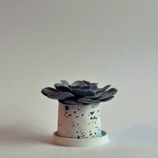 Sky Blue Pot