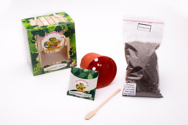Seed to Plant Kit
