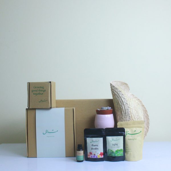 The Quintessential Gardener's Box