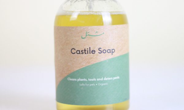 Castile Soap
