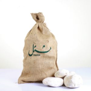 Ostrich Egg Pebbles