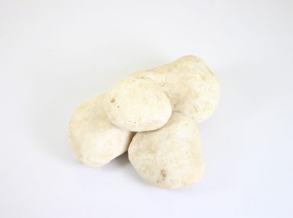Ostrich Egg Pebbles
