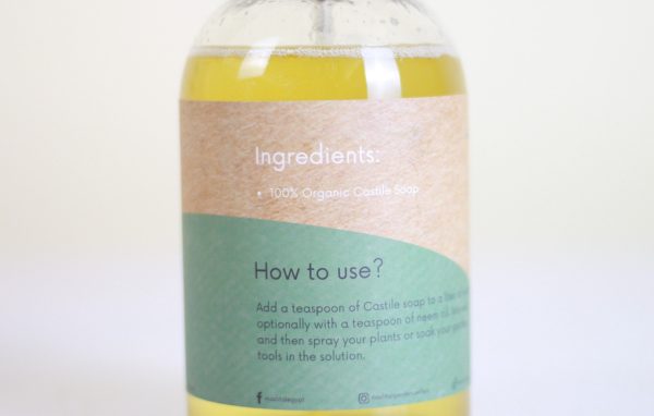 Castile Soap