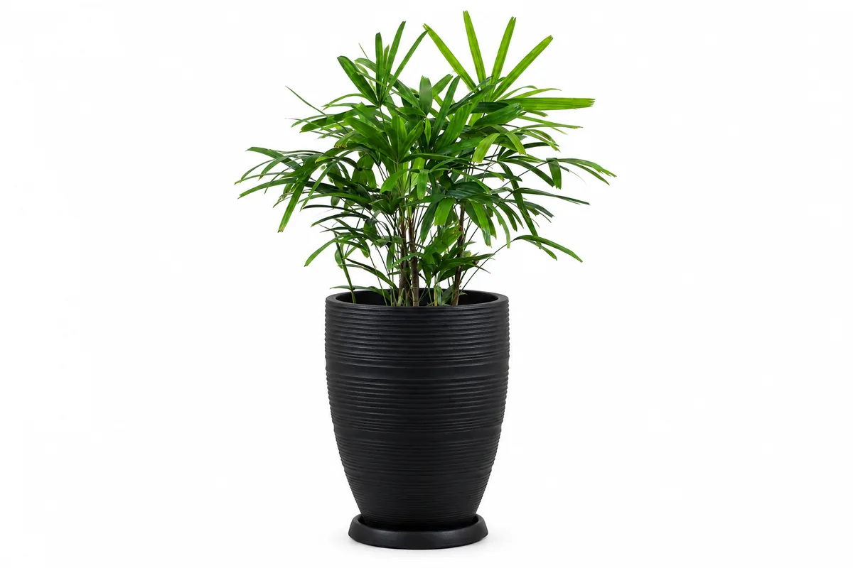 Vase Pot
