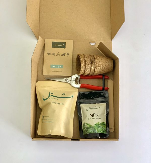 Beginner's Kit