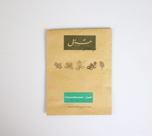 Chrysanthemum Seeds