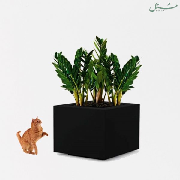 Quadro `Kenzi`